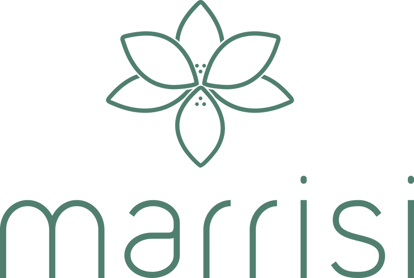 Logo Marrisi